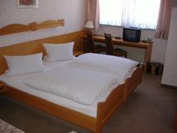Hotel Zum Grunen Wald Villmar ภายนอก รูปภาพ